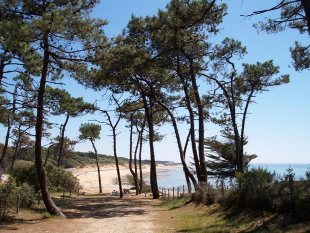 Villa L'Acacias Longeville-sur-Mer Exteriér fotografie
