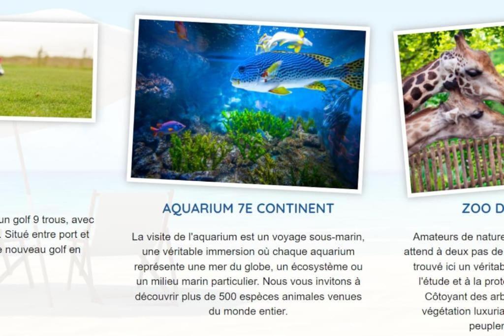 Villa L'Acacias Longeville-sur-Mer Exteriér fotografie